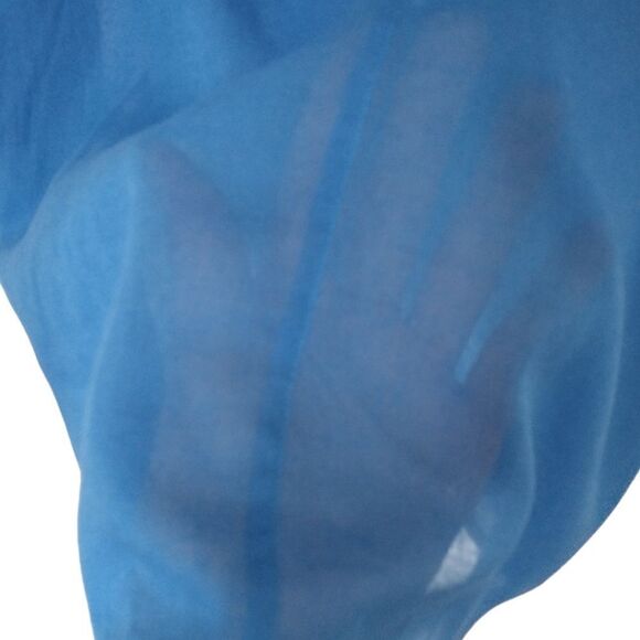 Banana Republic Top Sz 8 Gauzy Sheer Cotton Embroidery Sleeveless Zipper Blue. - Picture 3 of 16